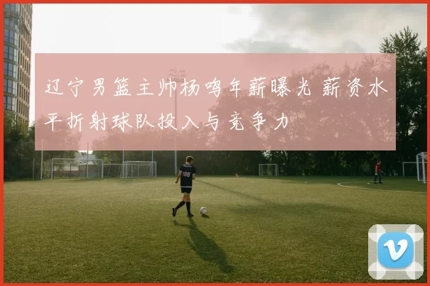 辽宁男篮主帅杨鸣年薪曝光 薪资水平折射球队投入与竞争力