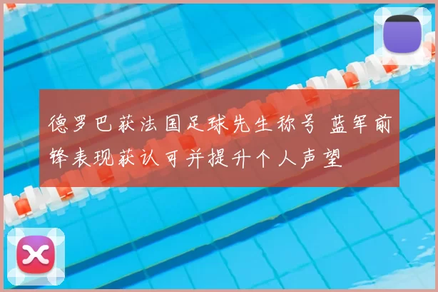 德罗巴获法国足球先生称号 蓝军前锋表现获认可并提升个人声望