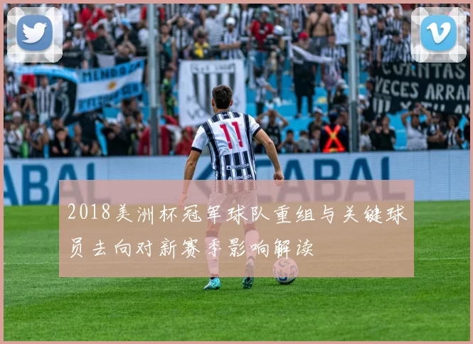 2018美洲杯冠军球队重组与关键球员去向对新赛季影响解读