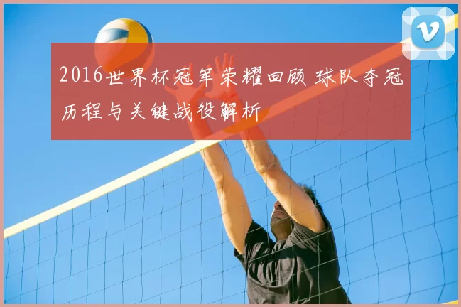 2016世界杯冠军荣耀回顾 球队夺冠历程与关键战役解析