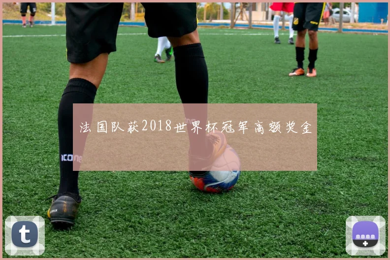 法国队获2018世界杯冠军高额奖金