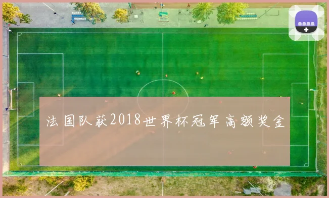 法国队获2018世界杯冠军高额奖金